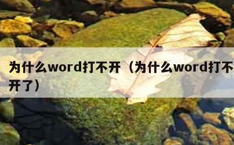 为什么word打不开，为什么word打不开了