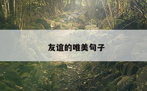 友谊的唯美句子