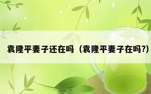 袁隆平妻子还在吗，袁隆平妻子在吗?