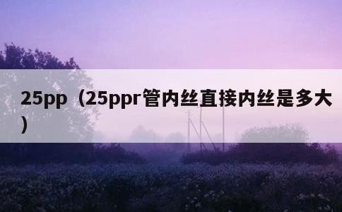 25pp，25ppr管内丝直接内丝是多大