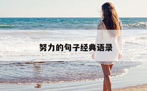 努力的句子经典语录