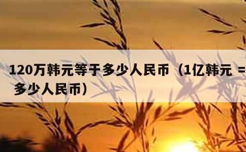 120万韩元等于多少人民币，1亿韩元 = 多少人民币