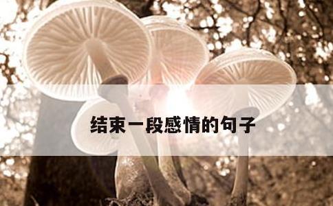 结束一段感情的句子