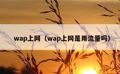 wap上网，wap上网是用流量吗