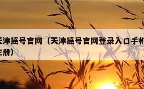 天津摇号官网，天津摇号官网登录入口手机版注册