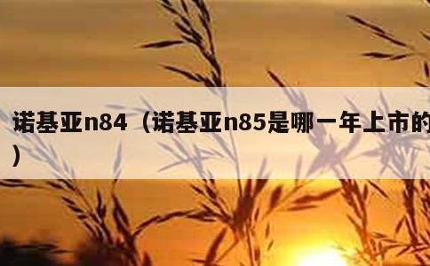 诺基亚n84，诺基亚n85是哪一年上市的