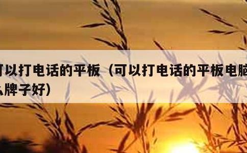 可以打电话的平板，可以打电话的平板电脑什么牌子好