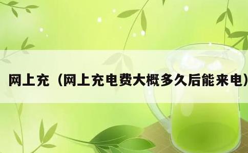 网上充，网上充电费大概多久后能来电