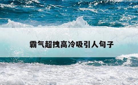 霸气超拽高冷吸引人句子