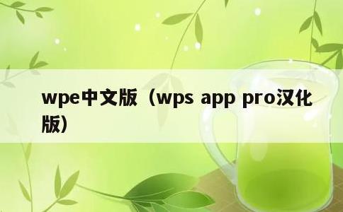 wpe中文版，wps app pro汉化版