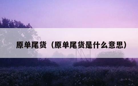 原单尾货，原单尾货是什么意思