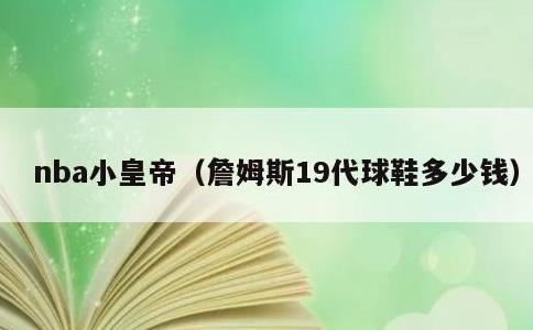 nba小皇帝，詹姆斯19代球鞋多少钱