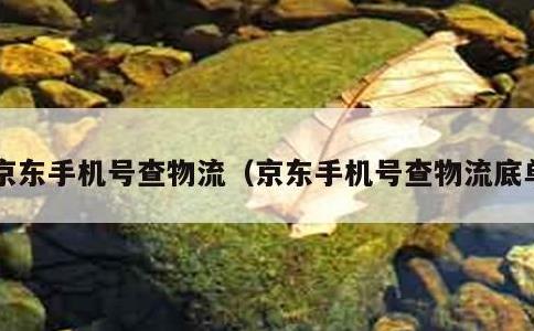 京东手机号查物流，京东手机号查物流底单