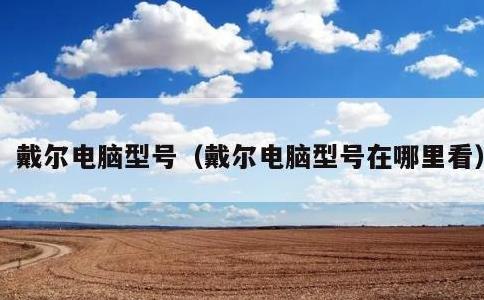 戴尔电脑型号，戴尔电脑型号在哪里看