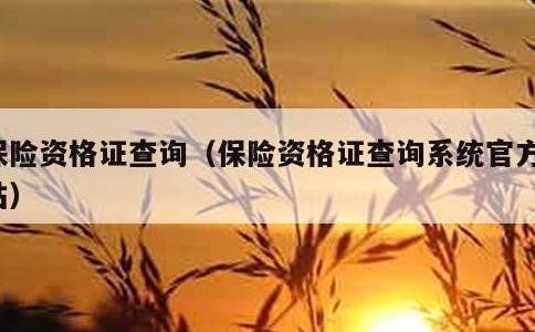 保险资格证查询，保险资格证查询系统官方网站