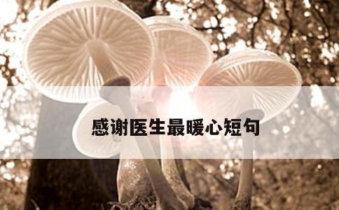 感谢医生最暖心短句