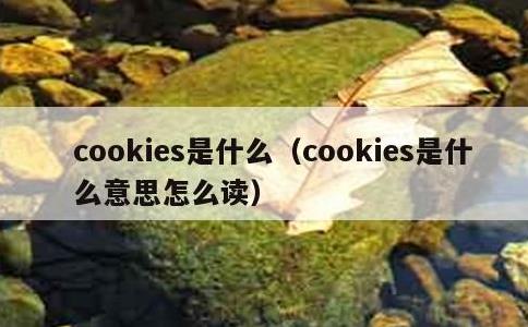 cookies是什么，cookies是什么意思怎么读