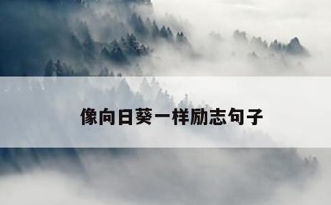 像向日葵一样励志句子