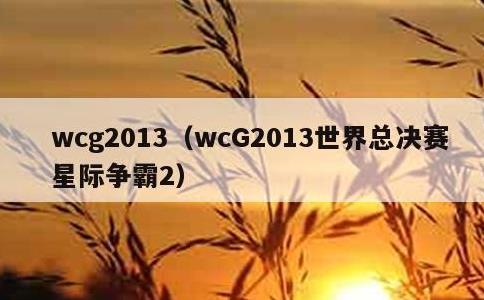 wcg2013，wcG2013世界总决赛星际争霸2