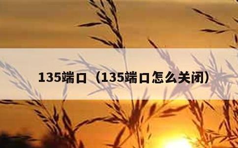 135端口，135端口怎么关闭