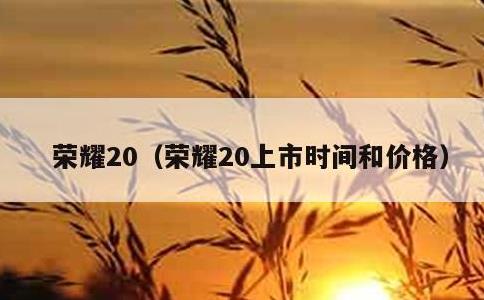 荣耀20，荣耀20上市时间和价格