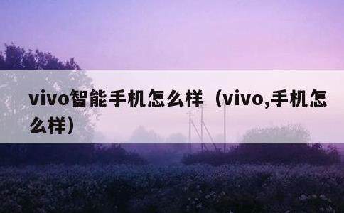 vivo智能手机怎么样，vivo,手机怎么样