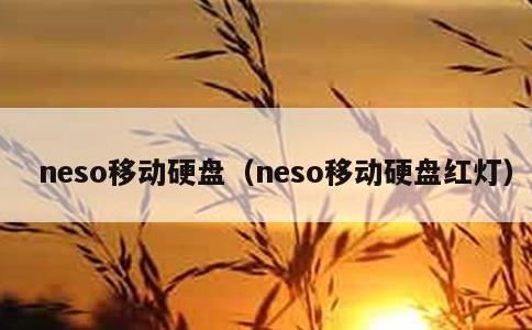 neso移动硬盘，neso移动硬盘红灯