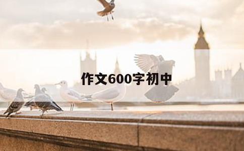 作文600字初中