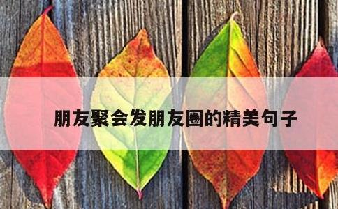 朋友聚会发朋友圈的精美句子