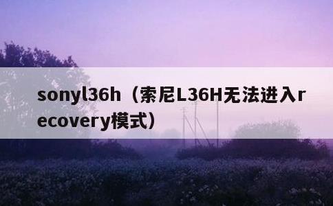 sonyl36h，索尼L36H无法进入recovery模式