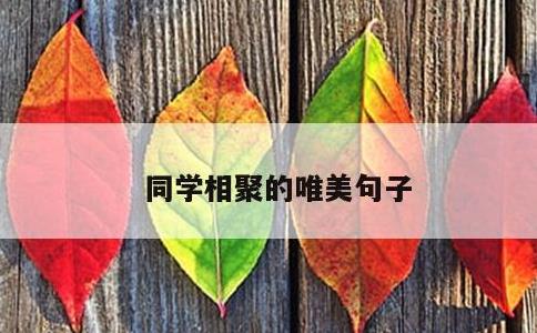 同学相聚的唯美句子