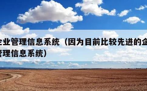 企业管理信息系统，因为目前比较先进的企业管理信息系统