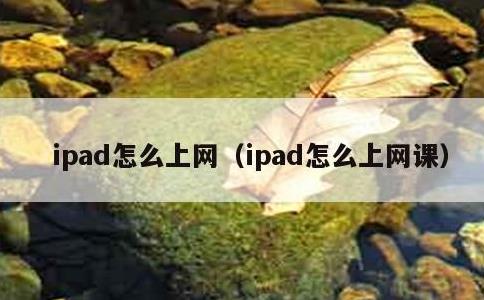 ipad怎么上网，ipad怎么上网课