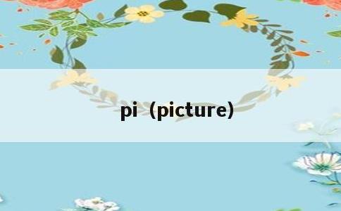 pi，picture