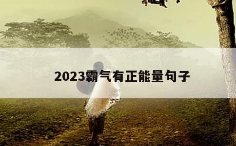 2023霸气有正能量句子