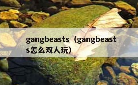 gangbeasts，gangbeasts怎么双人玩