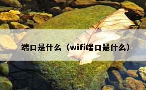 端口是什么，wifi端口是什么