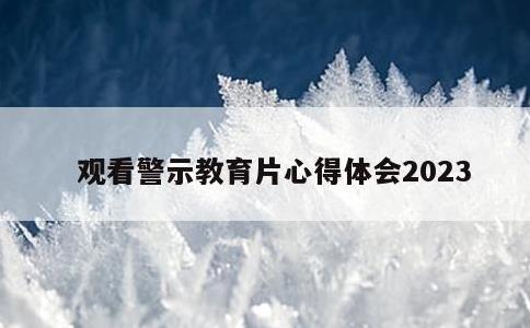 观看警示教育片心得体会2023