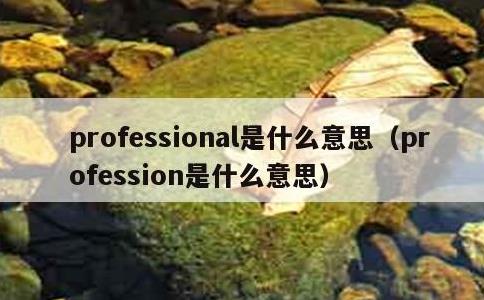 professional是什么意思，profession是什么意思