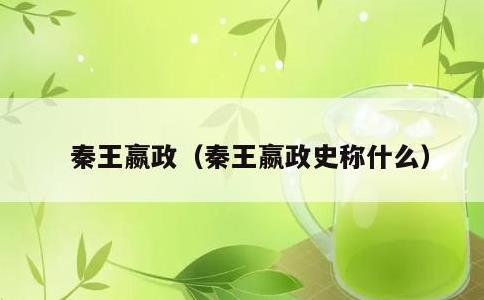 秦王嬴政，秦王嬴政史称什么