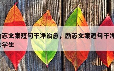 励志文案短句干净治愈，励志文案短句干净治愈学生