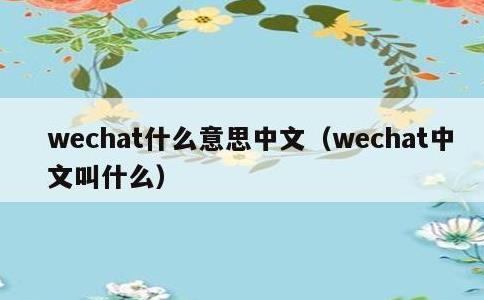 wechat什么意思中文，wechat中文叫什么