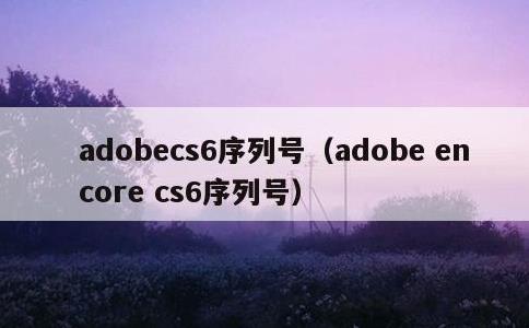 adobecs6序列号，adobe encore cs6序列号