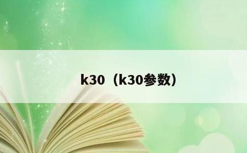 k30，k30参数