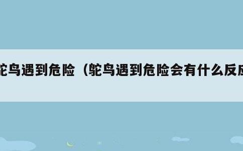 鸵鸟遇到危险，鸵鸟遇到危险会有什么反应?