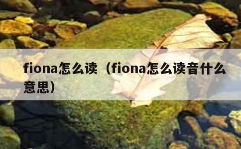 fiona怎么读，fiona怎么读音什么意思