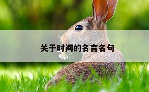 关于时间的名言名句