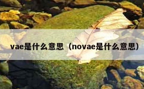 vae是什么意思，novae是什么意思