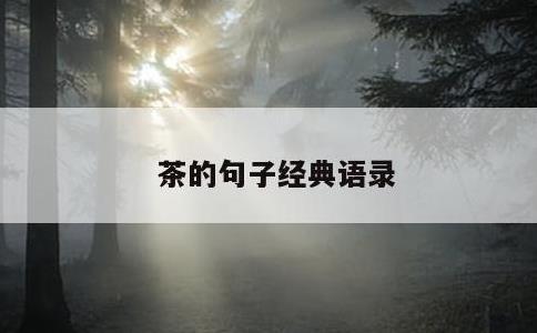 茶的句子经典语录