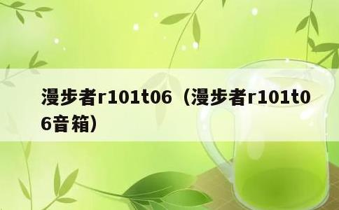 漫步者r101t06，漫步者r101t06音箱